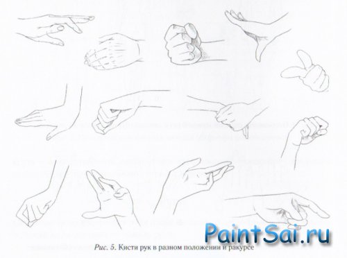 Как рисовать Кисть руки аниме